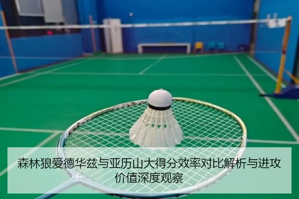 森林狼爱德华兹与亚历山大得分效率对比解析与进攻价值深度观察