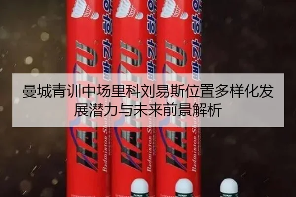 曼城青训中场里科刘易斯位置多样化发展潜力与未来前景解析
